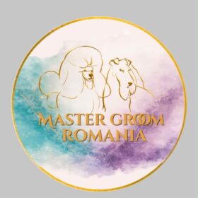 Master Groom Romania