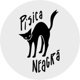 Pisica Neagră