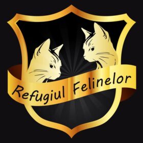 Refugiul Felinelor