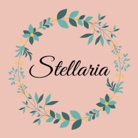 Stellaria - Centru de Creație și Feminitate