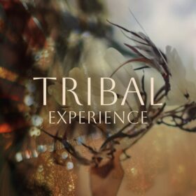 Tribal Experience