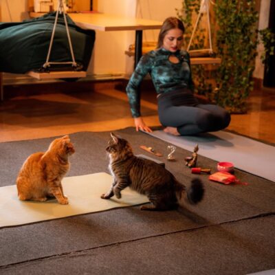 Yoga cu Anamaria