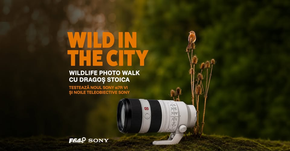Wild in the City: Wildlife Photo Walk cu Dragoș Stoica și Sony