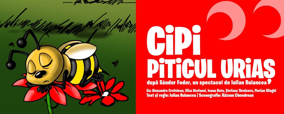 CIPI, PITICUL URIAȘ